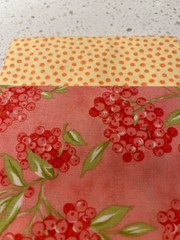 6 Half yard bundle contains Fig Tree fabrics and other designers fabrics cooo
