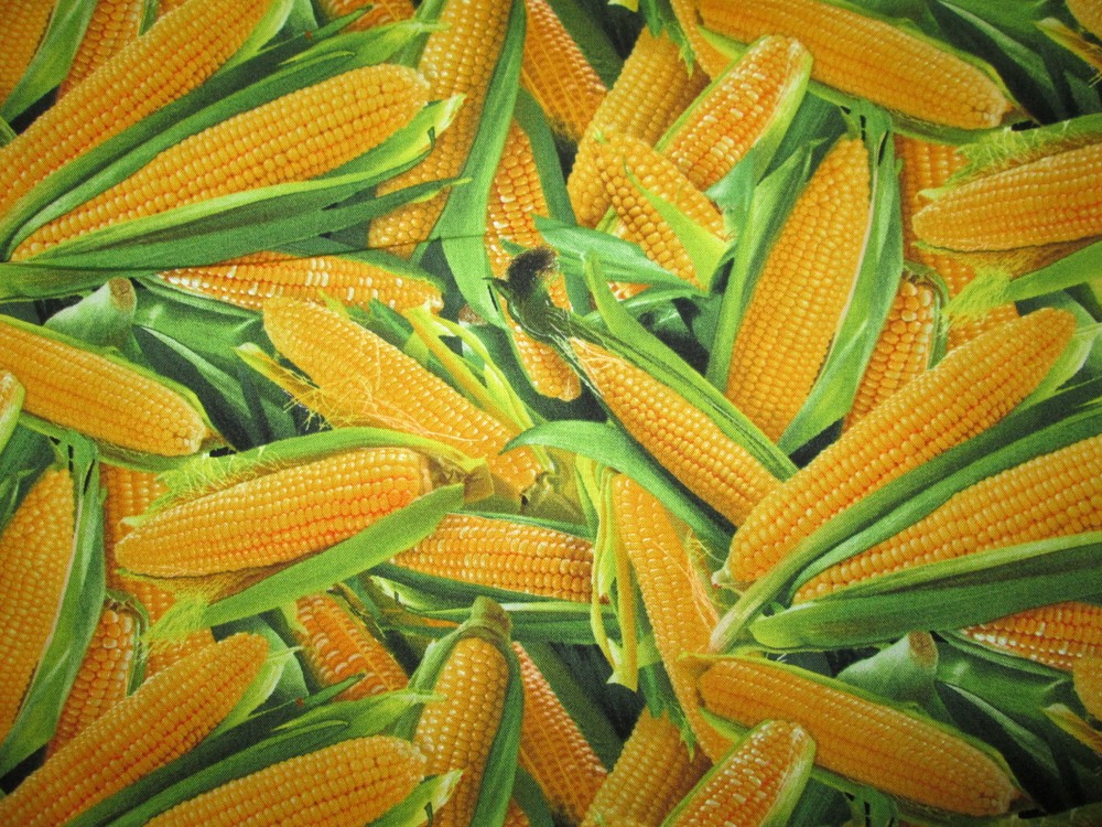 Corn Husks Cobb Snacks Food Cotton Fabric FQ