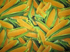 Corn Husks Cobb Snacks Food Cotton Fabric FQ