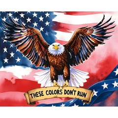 America 250 Years Colorful Eagle Panel – 35-1/2″ x 44″