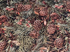 1/2 Yd Pine Cones Branches Needles Green Brown Cotton Fabric Japan Hobby Lobby