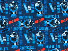 Warner Brothers Camelot Harry Potter Fabric 18” x 42” Vintage Rare New Blue