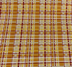 OOP “Fresh Aire” By BJ Lantz For Studio E Fabrics Orange Yellow White Plaid BTY