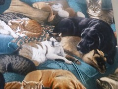 Real Dogs & Cats Resting Together Cotton Fabric -15 INCHES WIDE & 36 INCHES LONG