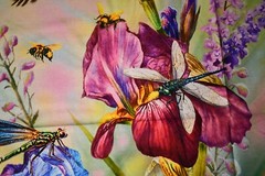 The Hummingbird Panel David Textiles Cotton Size 35.5 W