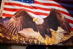 David Textiles DX-4234-3C-1 Eagle and Constitution Panel Cotton 36″ x 45″