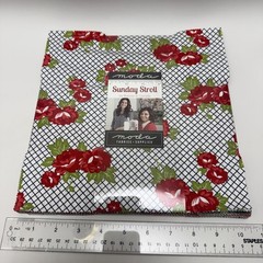 Moda Sunday Stroll Bonnie & Camille LAYER CAKE 42 10″ Squares Quilt Fabric New