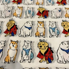 Sevenberry Dog Fabric Set of 3 Japanese Cotton Astronaut Surfing Festival 50cm