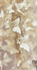 Beige Taffeta 3D Butterfly sheer 58″ Wide Bridal gown fabric by the yard