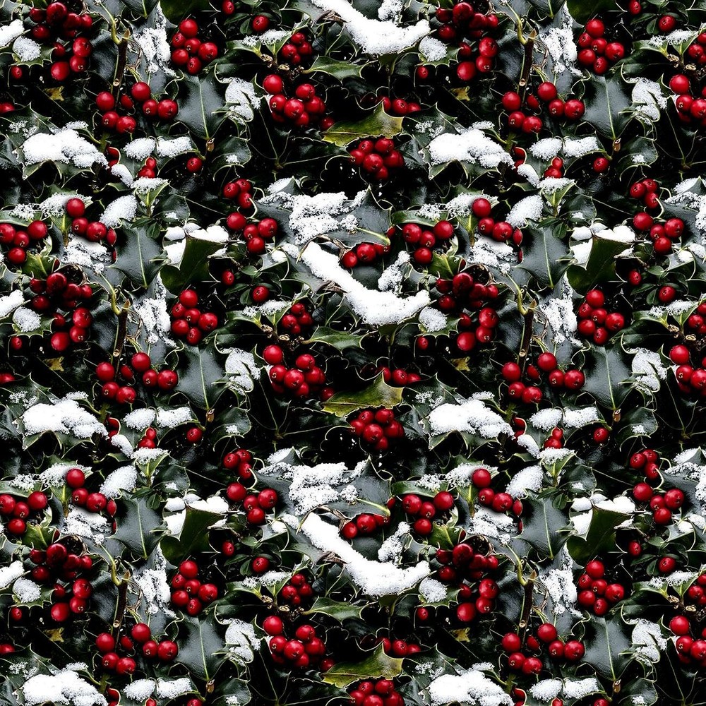 Hoffman – Frosted Holidays – Packed Holly – Christmas, Fabric by the Yard