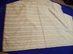 Upholstery / Drapery Fabric – 3 Yards x 54″ Wide