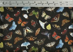 Elizabeth Studio ~ Butterflies Moths on Black 2 ~ 100% Cotton Quilt Fabric BTY