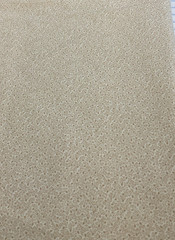 VIP CRANSTON – JINNY BEYER QUILTPRINTS – BEIGE TONAL- 1 7/8 YARD