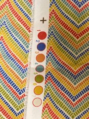 Multicolor Chevron Original Screen Print Solarium Richloom 54X41 Rozelle Garden