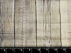 Tina Scrap Wood Grain Pannel Fence Board Whitewash Gray FABRIC 9″x21″ COTTON