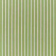 Brunschwig & Fils Woven Stripe Fabric- Rouen Stripe / Green 4.40 yds 8022117.33