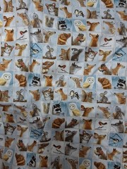 Quilting Treasures Fabric, Blue, Woodland Animals, 38″ X 24, Winter