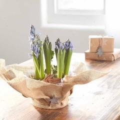 Oasis Hessian Fabric Roll (50cm x 3m) — Natural Jute for Craft & Décor