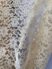 Champagne Sheer Mesh Floral Pattern Raschel Lace 58/60” Polyester Fabric By Yard