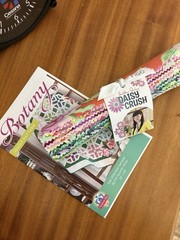 July 2026 Sew Sampler Botany DAISY CRUSH Jr Jelly Roll & Pattern