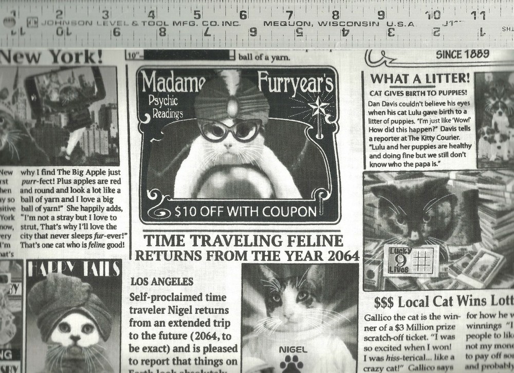 Timeless Treasures ~ Kitty Courier Cat Newspaper ~ 100% Cotton Quilt Fabric BTY