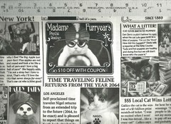 Timeless Treasures ~ Kitty Courier Cat Newspaper ~ 100% Cotton Quilt Fabric BTY
