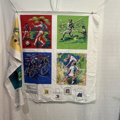 Sports Collection Fabric Panel Squares Basketball Soccer Cycling Baseball