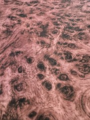 Keepsake CALICO Rose Mauve Pink BTY 100% Cotton Quilt fabric 36″x 44″ Blender