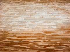 1-3/8Y Brunschwig & Fils 8013139 Rivage Mid Century Velvet Upholstery Fabric