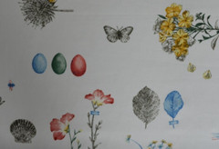 40+ YARDS / 100% COTTON / VINTAGE /BOTANICAL / 56″ WIDE / WHITE BACKGROUND