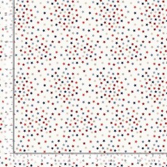 Patriotic Fabric | Path to Freedom Stars White Red Blue Timeless Treasures YARD