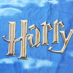 Harry Potter Flying Car Fabric Panel 36×50 Cheater Quilt Cotton Blue