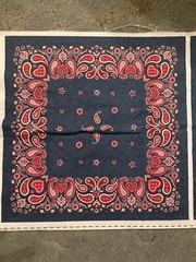 Daisy Kingdom Paisley Bandana Square 16″ Pillows or bandana fabric panel