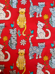 Patty Reed for Fabric Traditions Sparkle Cat Cotton FAbric 40″ x 20″