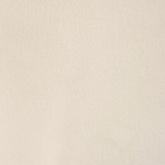 Rinker Boat Foam Back Marine Vinyl Off White 53 Inch – YARD