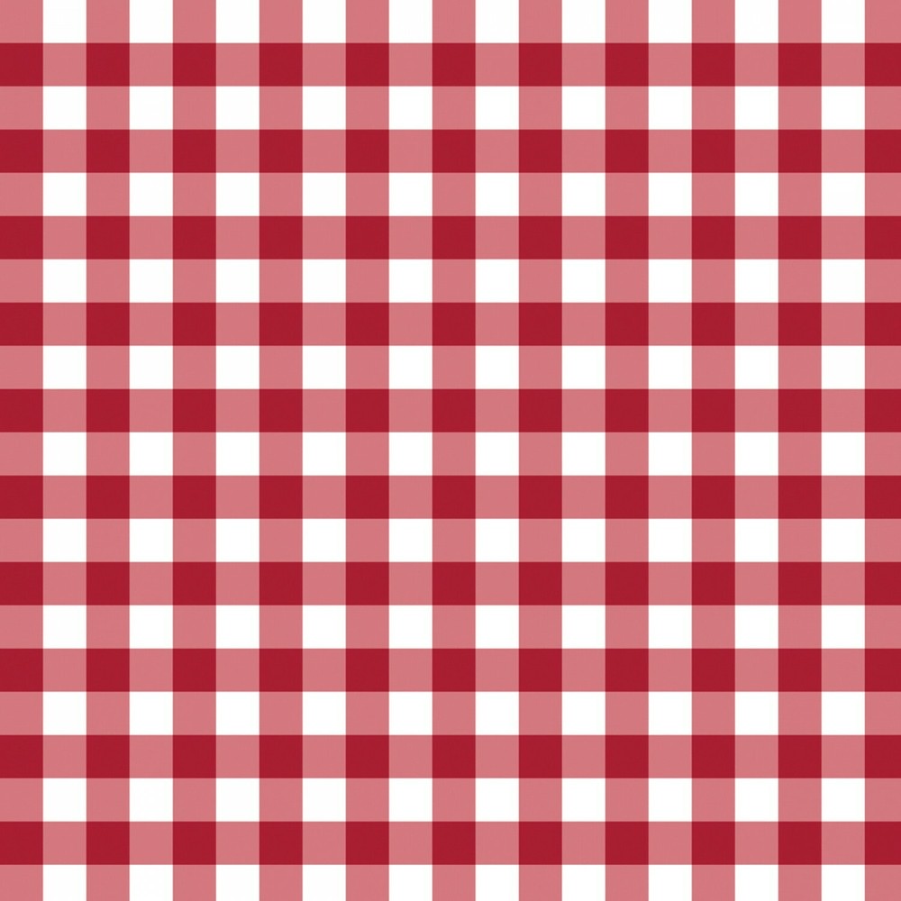 Fabric Gingham Picnic Blanket Pattern Red on White RJR Cotton 1/4 Yards 21007