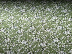 Fabric First Flourish Green By RJR Fabric 42” x 45”360