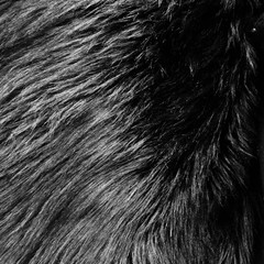 Eden BLACK Shaggy Long Pile Soft Faux Fur Fabric for Fursuit, Cosplay Costume,