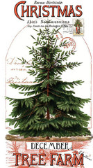 Classic Christmas – Christmas Botanical Main Panel (Digitally Printed) – NEW