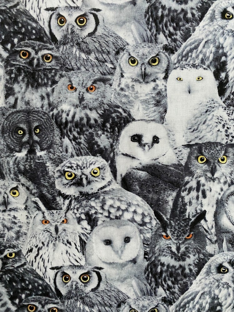 WICKED OWLS YELLOW EYES OWL SPOOKY BLK WHTE GRAY COTTON FABRIC FQ