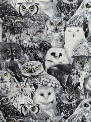 WICKED OWLS YELLOW EYES OWL SPOOKY BLK WHTE GRAY COTTON FABRIC FQ