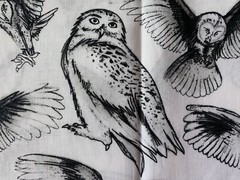 BROTHER SISTER FABRIC~Blk White~SKETCHED OWLS~Snowy~Great Horned~Barn~Screech~