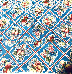 1.25 Yds R.&R. Fruit Retro Kitchen Towel Fabric by Springs Creative Prod-NEW OOP
