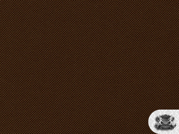 Waterproof BROWN Indoor/Outdoor Polyvinyl Fabric BTY