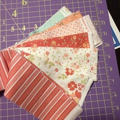 30 Jelly Roll Pieces Of 2 1/2” Cotton Quilt Fabric Moda Peach Corey Yoder Floral