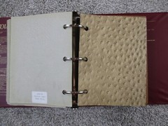 Kroupana Suede Specialty Leather Swatch Sample Book Animal Snake Belly Ostrich
