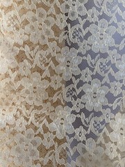 Champagne Sheer Mesh Floral Pattern Raschel Lace 58/60” Polyester Fabric By Yard