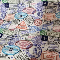 fabric traditions Travel Stamp Fabric Passport Print Cotton Sewing Quilt 1 yard