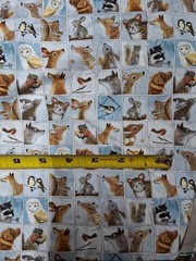 Quilting Treasures Fabric, Blue, Woodland Animals, 38″ X 24, Winter