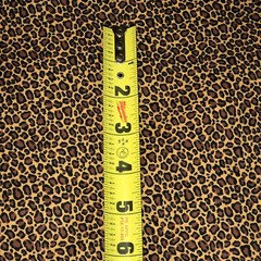 WILD ANIMAL Cheetah looking PRINT 100% COTTON FABRIC by the yard #08 Big Cat